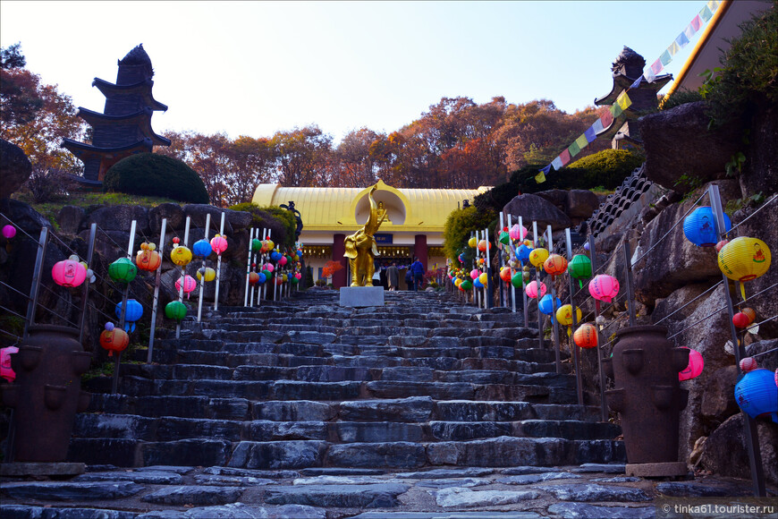 Танпхун - фольклор, этнография и лесной храм