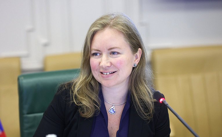 Встреча председателя Комитета СФ по международным делам Григория Карасина с заместителем Председателя Сената Республики Кения Катури Мурунги