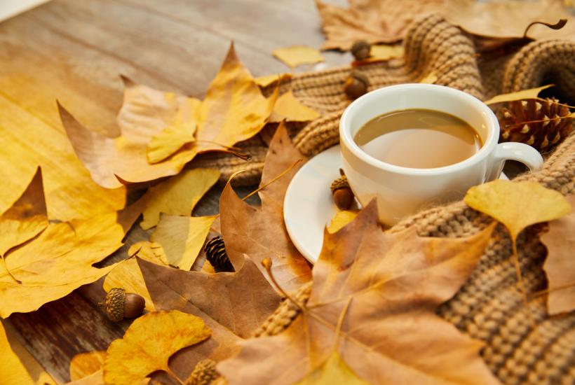 Осенние листья и чашка кофе
