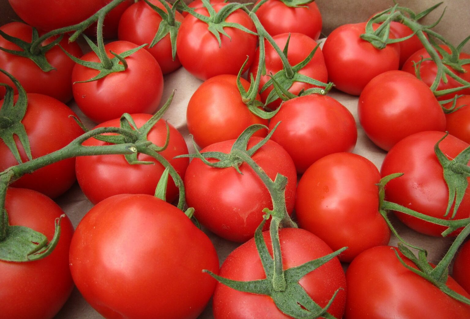 Томат турмалин. Вес 2 помидоров. Внутренние объекты помидор. Ярсон 34 томат. Помидоры 18.