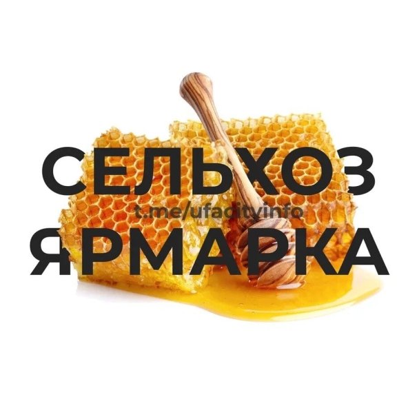 Медовые ярмарки пройдут в Уфе