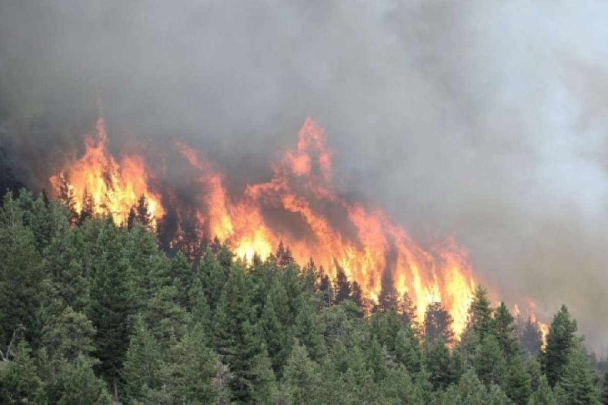 На севере Хабаровского края тушат три лесных пожара