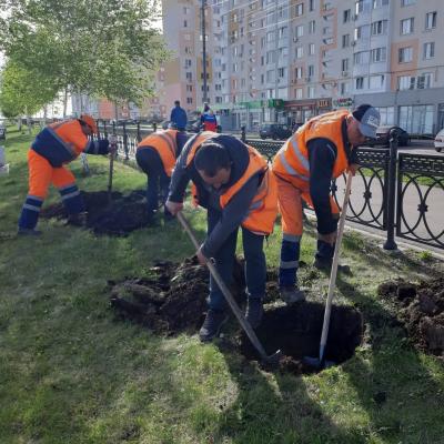 В Саратове посадили 45 деревьев на бульваре Героев Отечества