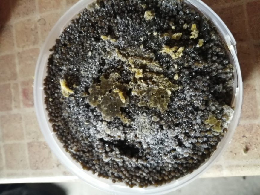 Можно ли вывозить черную икру. Черная икра линейка волга. Икра на черном фоне. Можно ли вывозить черную икру. Черная икра этикетка для печати.