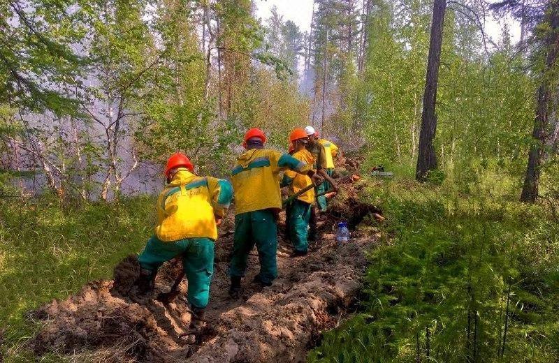 В Якутии действуют 53 лесных пожара на 86 057 га