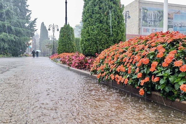 В Сочи ожидается сильный дождь с грозой
