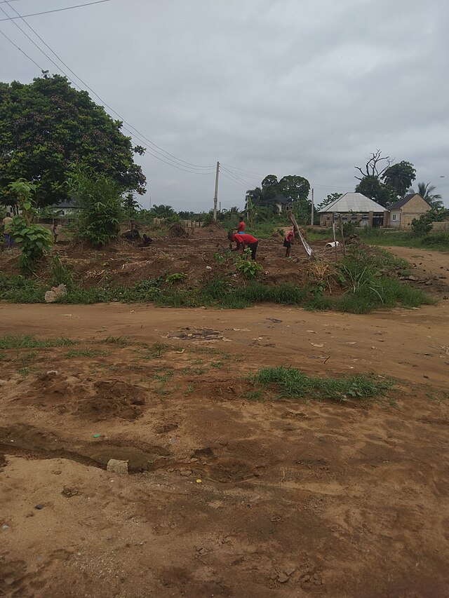 Фото: commons.wikimedia.org/Andikan Efiok Eduok/Creative Commons Attribution-Share Alike 4.0