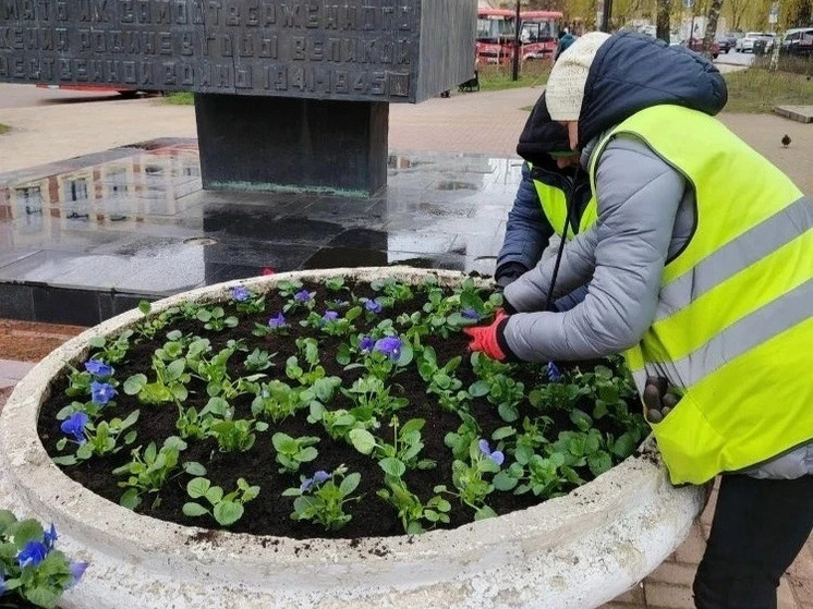  224 тысячи цветов посадят в Калуге