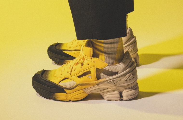 15 Кроссовки adidas x Raf Simons Replicant Ozweego