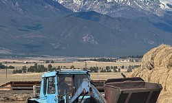 От трёх голов до мечты о большом хозяйстве: путь молодого сельского фермера