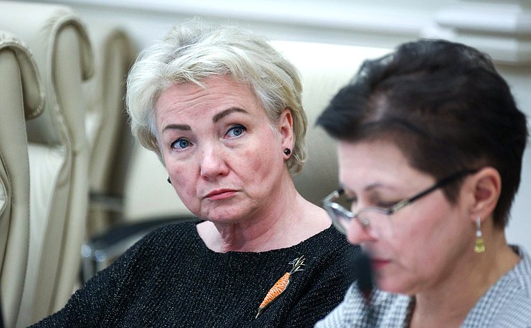 Круглый стол Комитета СФ по экономической политике совместно с Комитетом СФ по социальной политике «О реабилитации и абилитации инвалидов, в том числе из числа участников специальной военной операции, в целях их возвращения к трудовой деятельности»