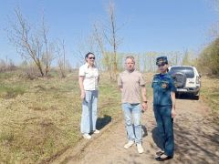  В Новочебоксарске выявили пожароопасные участки и определили места для создания минерализованных полос пожароопасный сезон 