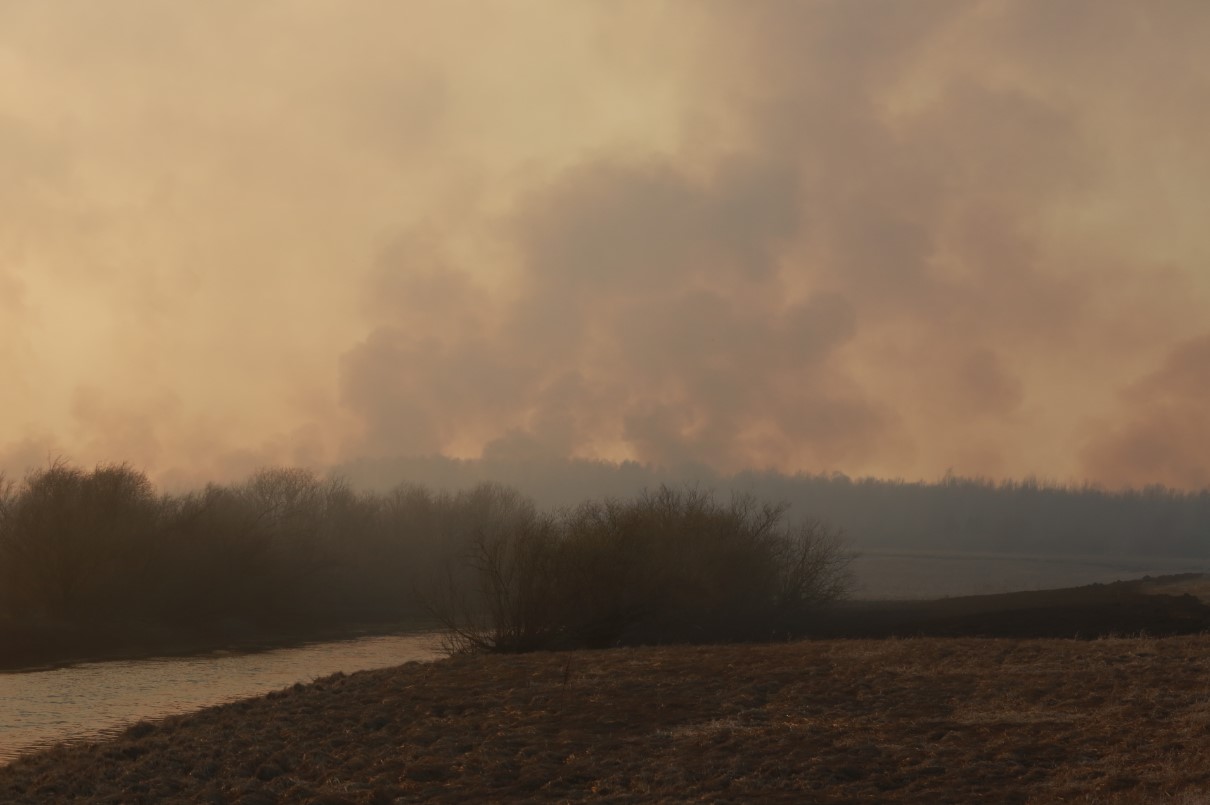 В Тюмени начался сезон природных пожаров. Пожар в районе села Салаирка 4 мая 2023 года.