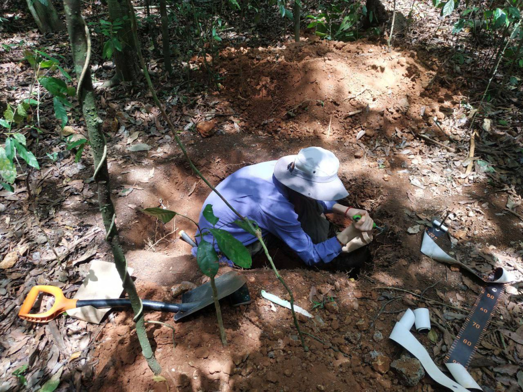 Кат тьен 2.jpg