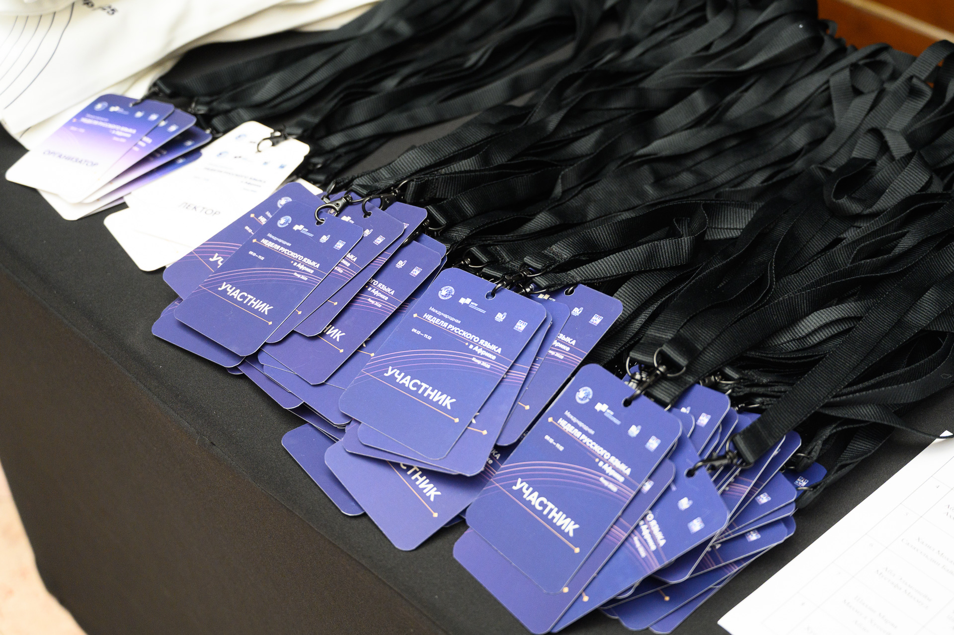 Стартовала «Международная неделя русского языка в Африке» в Каире