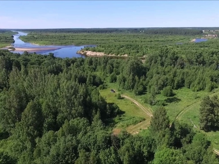 Костромские огнеборцы ликвидировали лесной пожар в Поназыревском районе