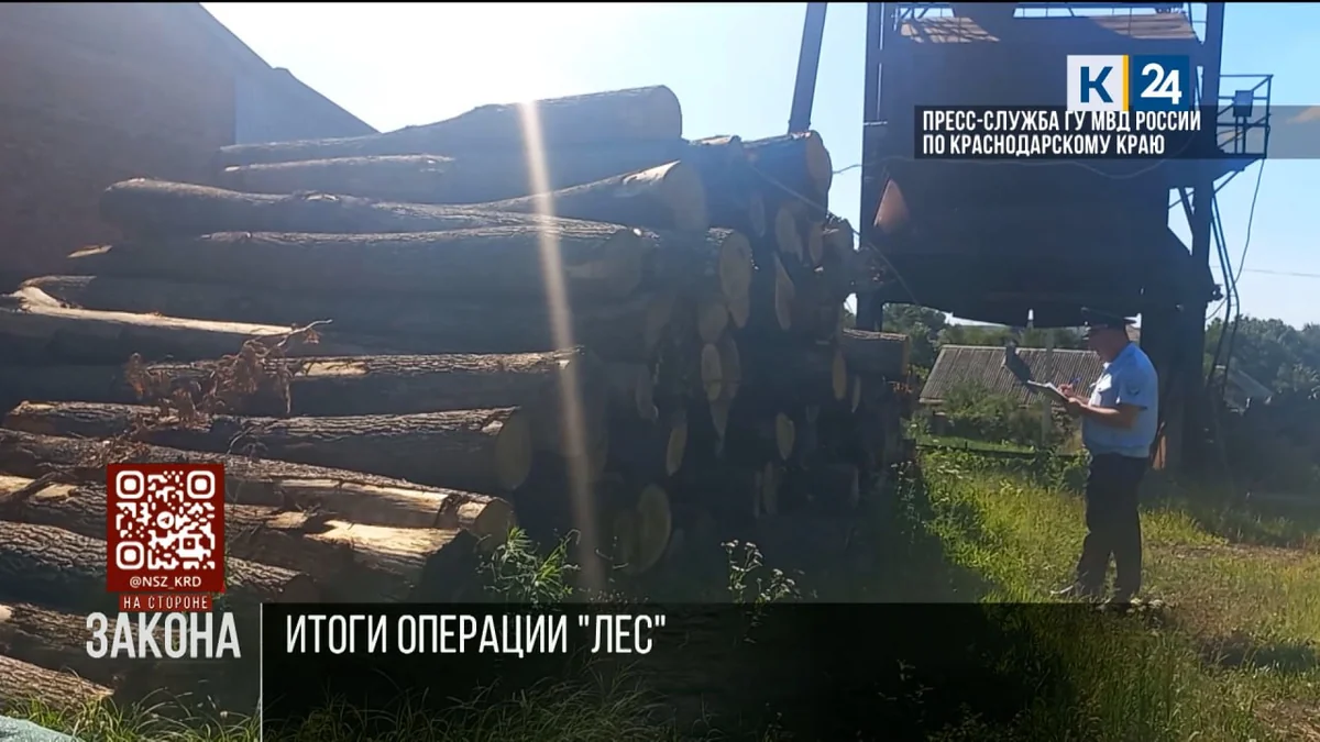 В рамках операции «Лес» на Кубани за четыре дня возбудили 14 уголовных дел