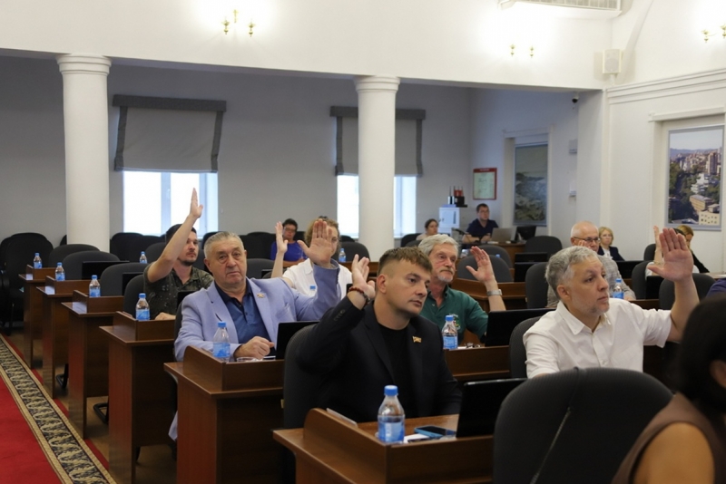 Депутаты проголосовали за приватизацию предприятия электрических сетей