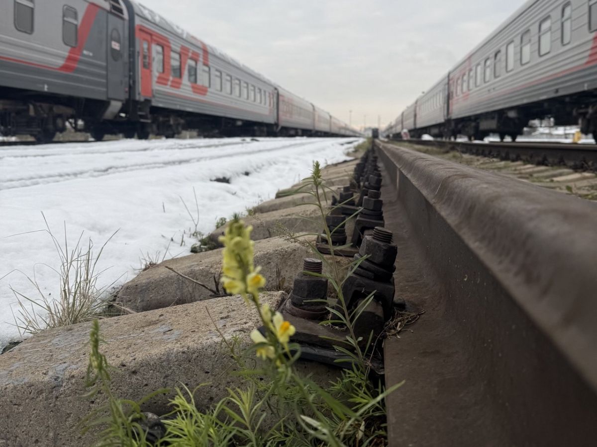 27 электричек отменены в Воронежской области с начала года