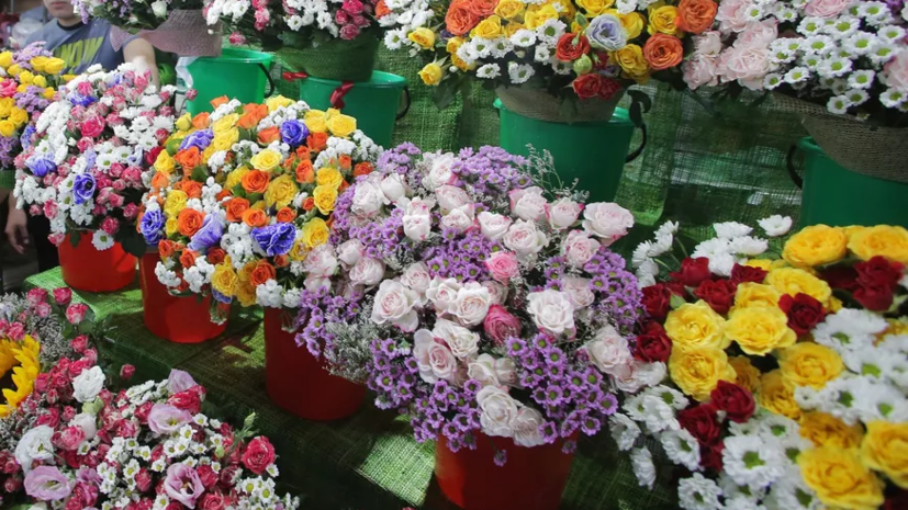 Почти 20% жителей России не планируют дарить цветы учителям на 1 сентября