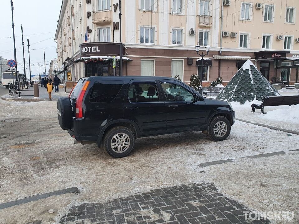 Ожидание перехода. Машина на парковке. Томские стоянки. Король парковки. Кот припарковался.