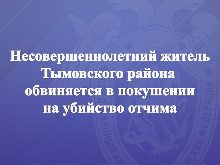 В СК раскрыли подробности нападения 16-летнего подростка на отчима в Тымовском районе