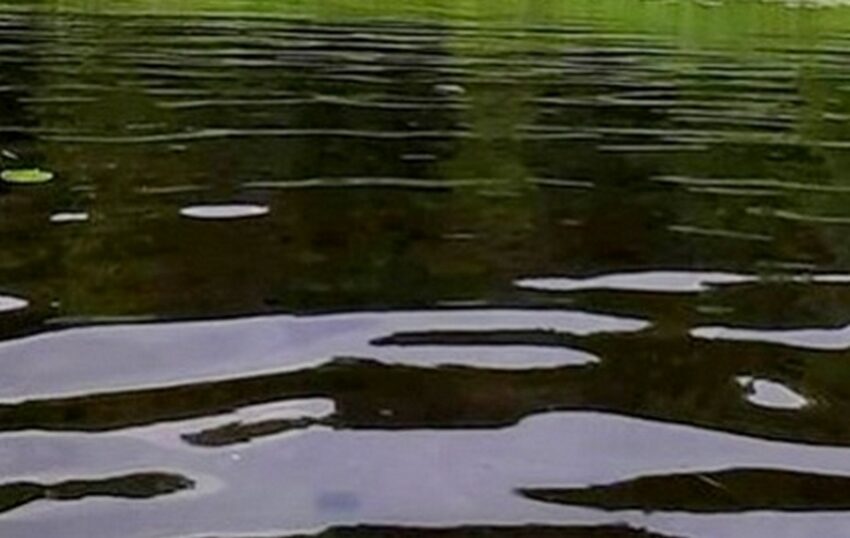 За сутки на 49 см поднялся уровень воды в реке Дон в Воронежской области