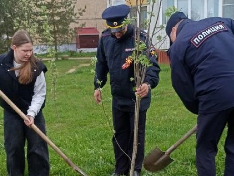 JPG Файл