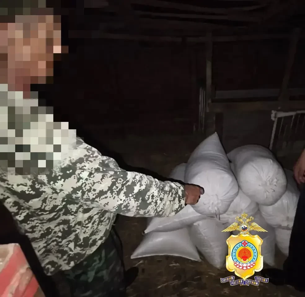 Полицейские Яшалтинского района раскрыли кражу трёх тонн пшеницы