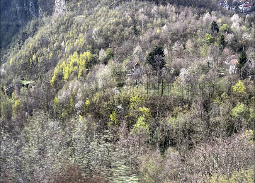 Весенняя Сербия. Фруктовые пейзажи и чудо в горах