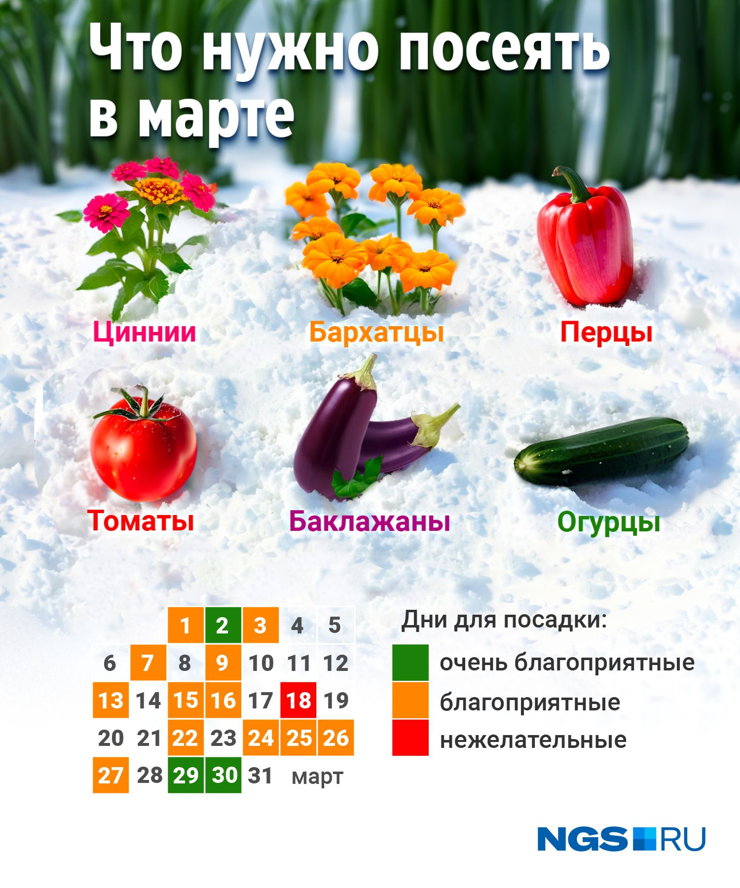 Посадка перца 2024 г март благоприятные дни. Посадка томатов на рассаду в марте. Перец посадка на рассаду в марте. В марте посадка томатов и перца. Благоприятные дни для посадки рассады в марте.