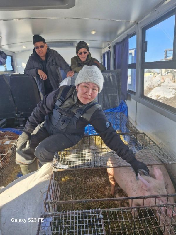 В Усть-Янский улус из Якутска самолетом доставили 150 кур, 15 поросят и три тонны комбикорма