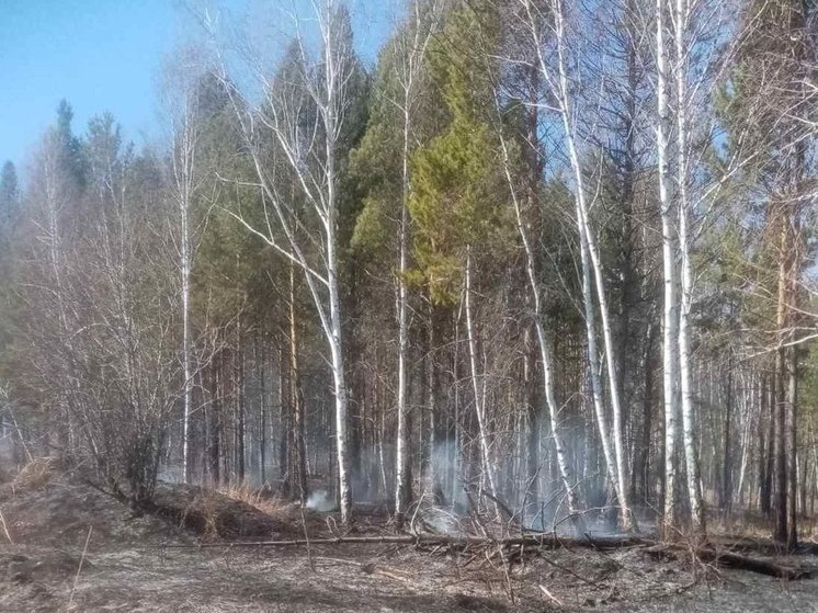 В Иркутской области обнаружили и ликвидировали лесной пожар