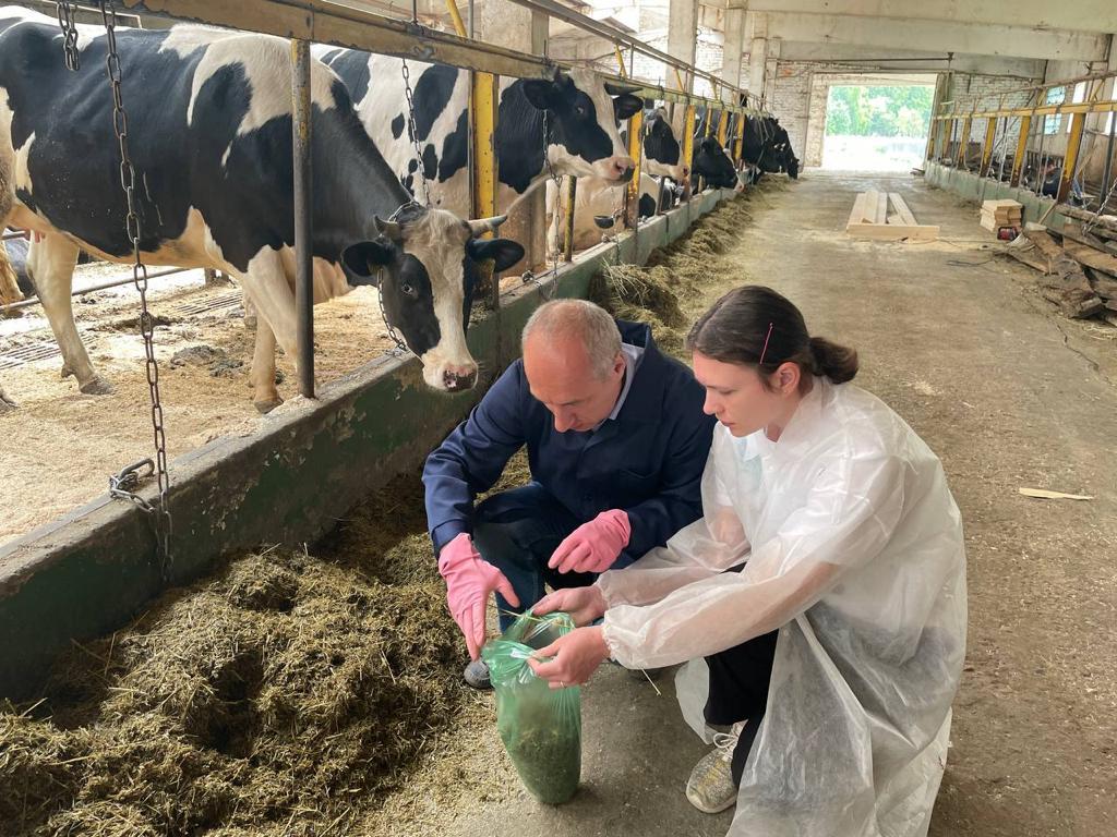 Колбаса классическая спк. Колбаса спк ветчина балтийская амитан 470г. Колбаса посадская вареная 2000-х. Колбаса докторская сибирская продовольственная компания. Колбаса озерская.