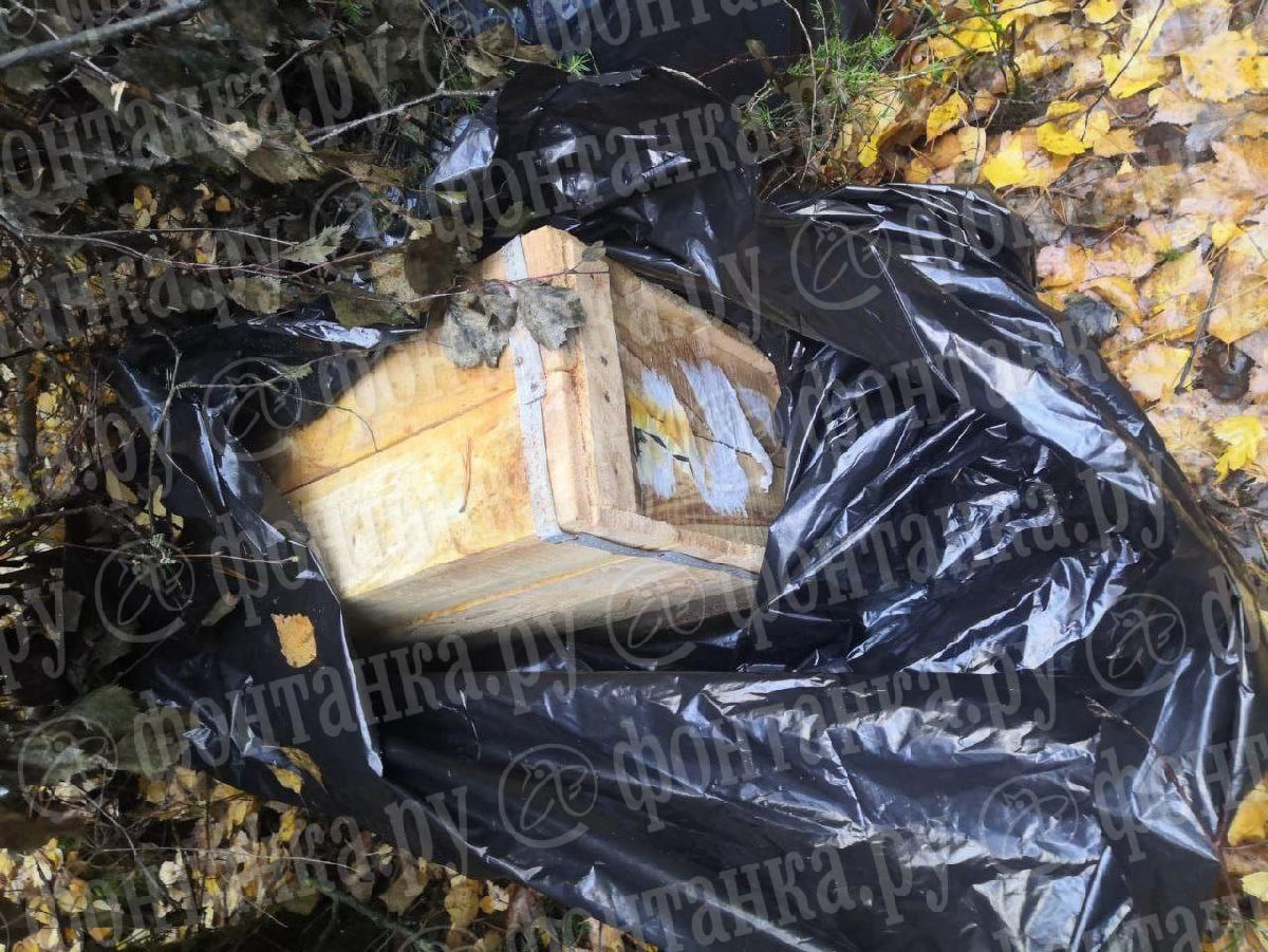 старинные городские свалки. в коле бургерах нашли химикаты. в коле бургерах нашли химикаты. свердловск ревда свалка. в коле бургерах нашли химикаты.