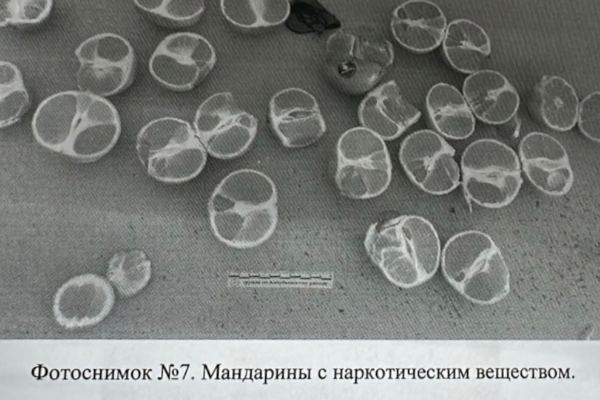 Экспертиза показала, что фрагменты плодов мандарина общей массой 1989,37 гр. содержат наркотическое вещество.