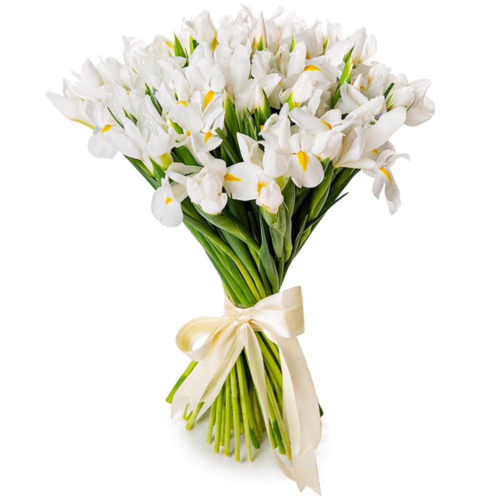 букет из белых ирисов. белые ирисы букет. букет белых ирисов. белые ирисы букет. букет с белыми ирисами.