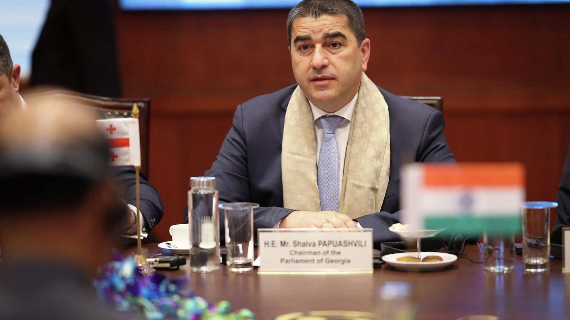 Встреча спикера парламента Грузии Шалва Папуашвили с главой МИД Индии Субраманьямом Джайшанкаром - Sputnik Грузия, 1920, 03.12.2025