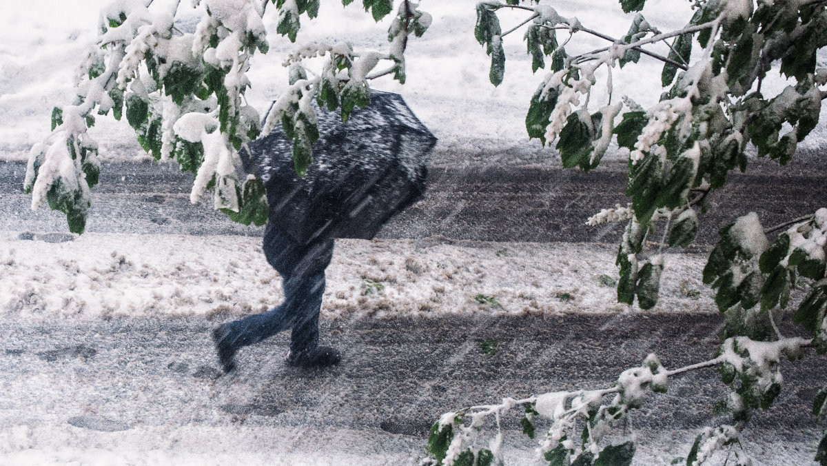 снег и дождь в любое время года. метео сибирь. геомагнитная обстановка. метео обстановка. метео обстановка.