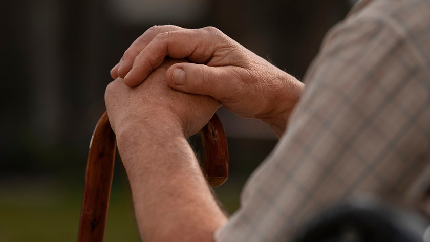 Льгота для северян: как амурским пенсионерам вернуть деньги за билеты на отдых - gtrkamur.ru