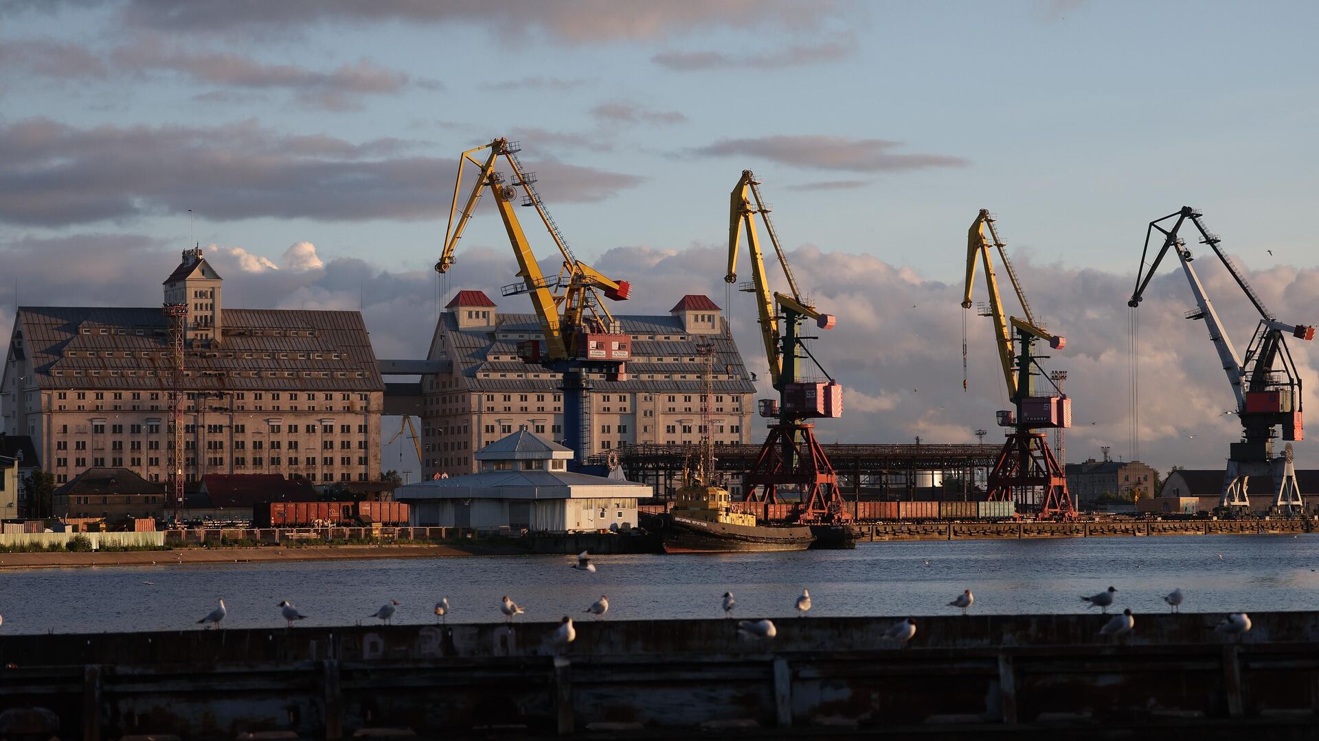 Морской порт калининград. Морской Транзит в Калининград. Махачкалинский морской торговый порт. Здание в порту Калининград.