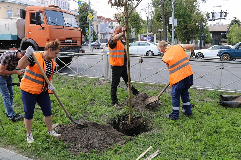 Благоустройство и озеленение города проект