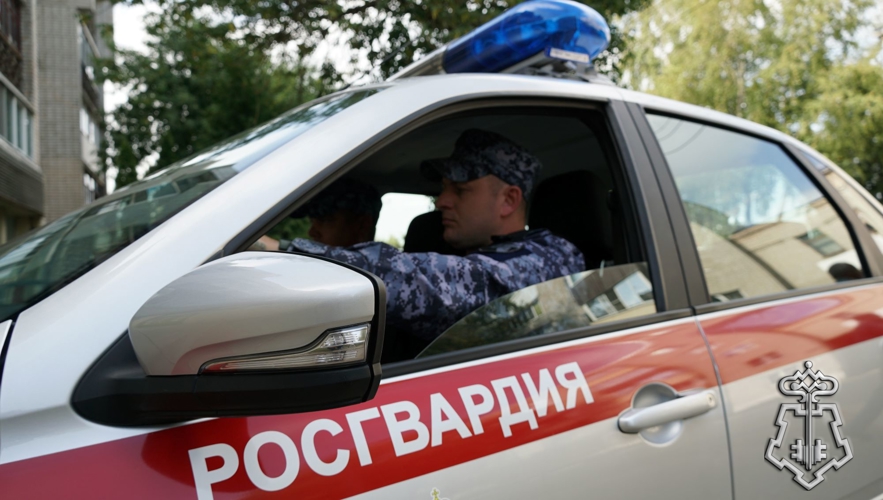 Росгвардейцами в Белгородской области выявлено порядка 150 кустов наркотикосодержащих растений