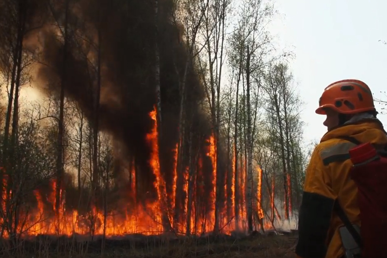 Пожар в д лесная. Лесные пожары в России 2021 Якутия. Пожары в Якутии 2021. Пожары в Саха Якутия 2021. Лесные пожары 2021 года в России.