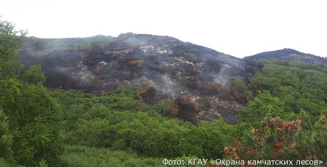 В правительстве Камчатки подвели итоги пожароопасного периода