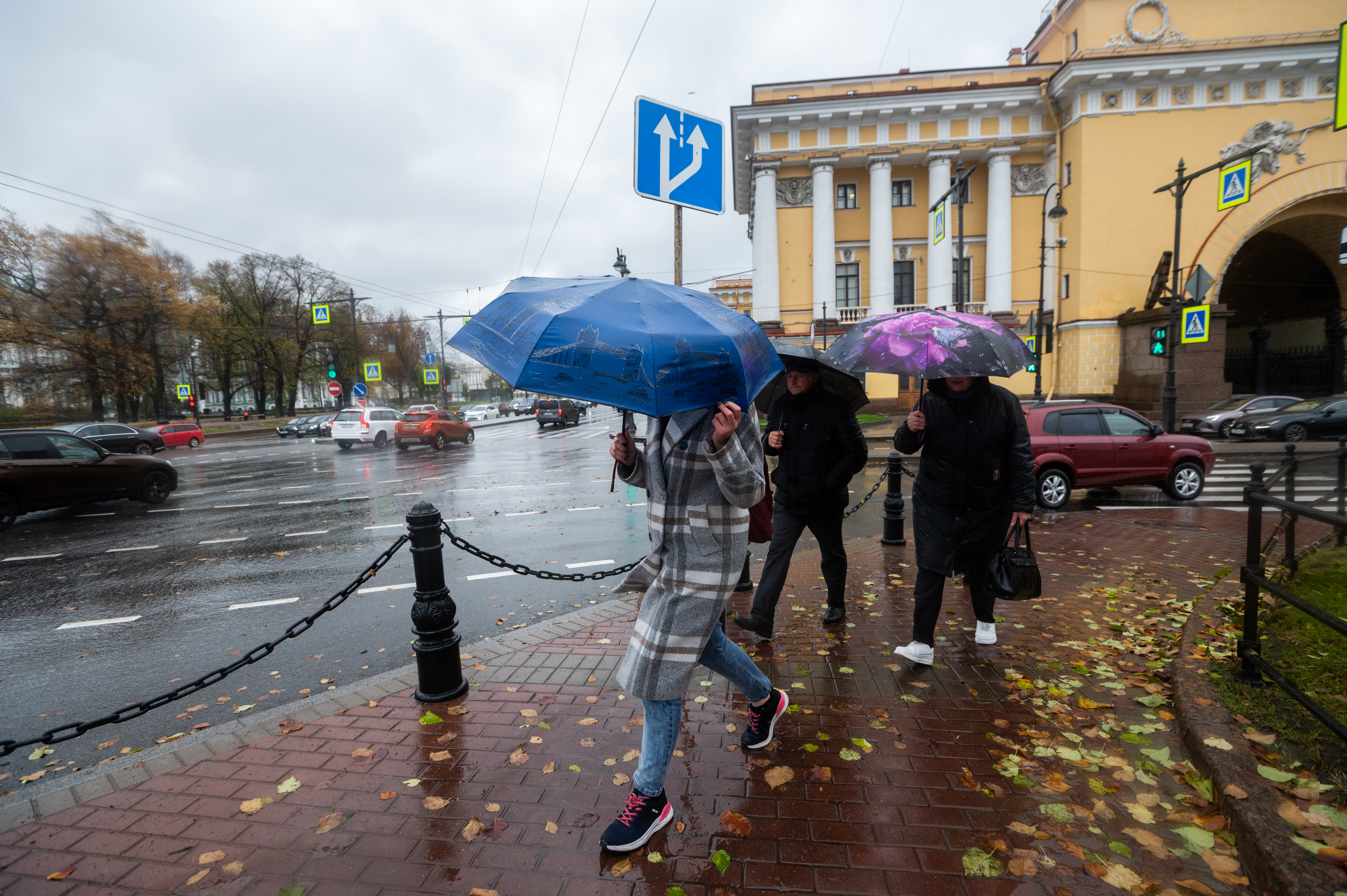 Когда начнется дождь в спб. Санкт-Петербург дождь. Дождь в Петербурге. Ноябрь дождь. Петербург дождь в ноябре.