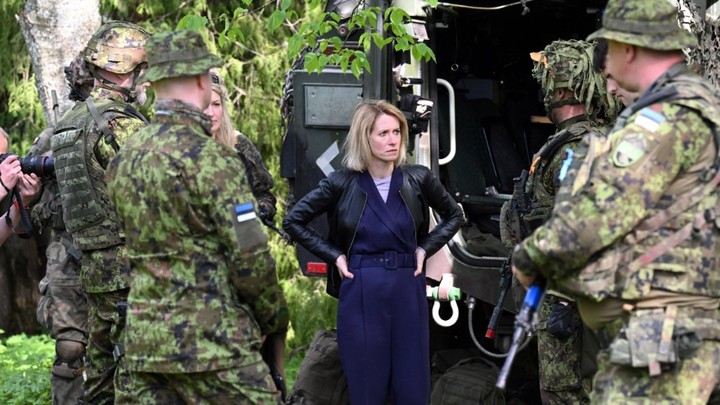 Это будет пушечное мясо: Депутат Чепа ответил Эстонии на планы отправить солдат на Украину