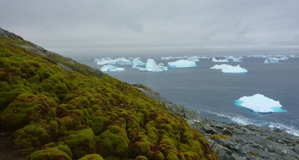 Green Island.