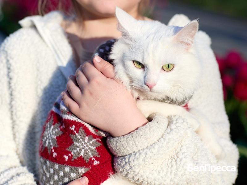 Как Белгород готовится отметить День Победы (фоторепортаж)