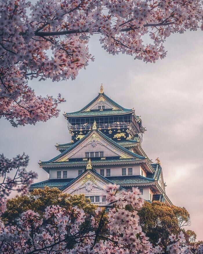 1. Замок в Осаке, Япония